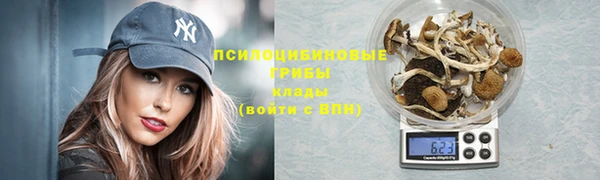а пвп мука Алзамай