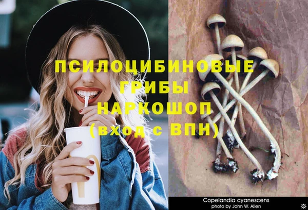 а пвп мука Алзамай