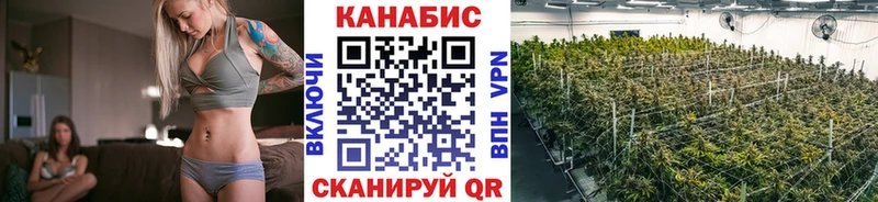 Бошки Шишки THC 21%  МЕГА зеркало  Трёхгорный  как найти  
